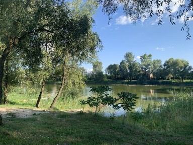Є ВІДЕО. Продам ділянку 6 соток з будинком, с. Артемівка (СТ Агро).