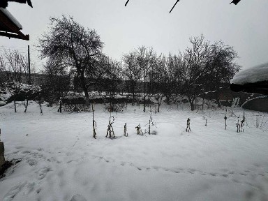 Закарпатська область, Тячів