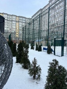 Київська область, Буча