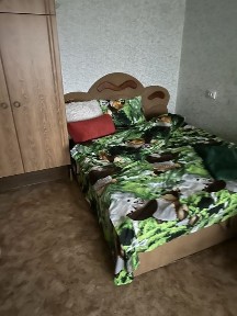 Аренда 2 х квартира посуточно Самар