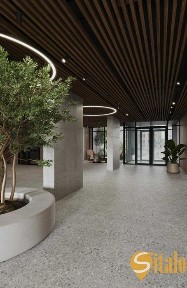 Львівська область, Львів, Шевченківський