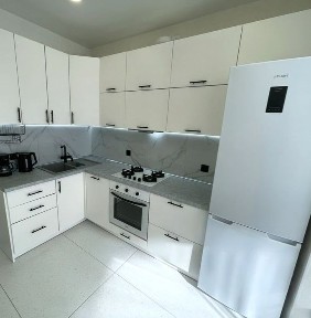 Київська область, Софіївська Борщагівка