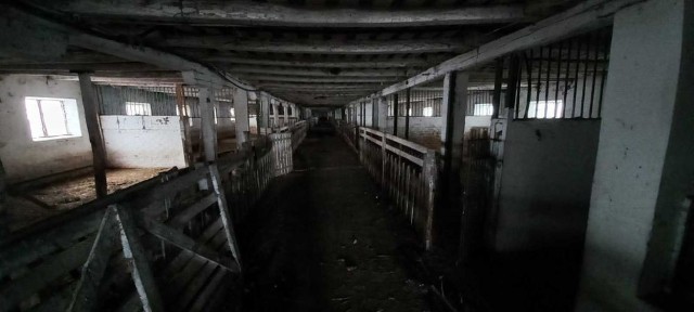 Київська область, Маковецьке