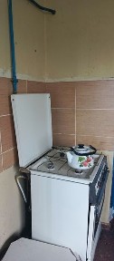 Продається будинок в с. Білошиці