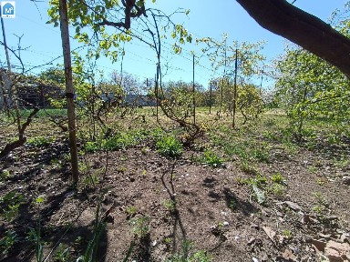 Одесса Фонтанка