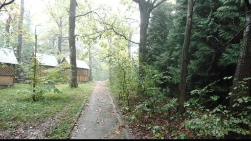 Львівська область, Дрогобич