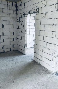 Київська область, Нові Петрівці