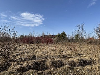 Львівська область, В'язова