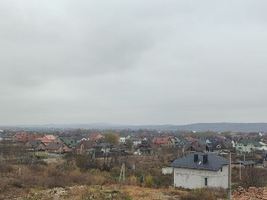 Івано-Франківська область, Коломия