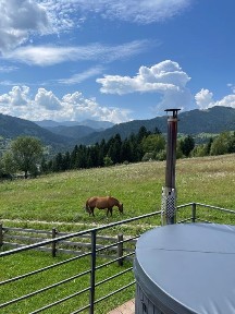 Будинок в горах | житло в Карпатах | Чан-джакузі | Верховина | с. Красник | Подобово оренда | Верховина