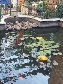 Одеська область, Крижанівка