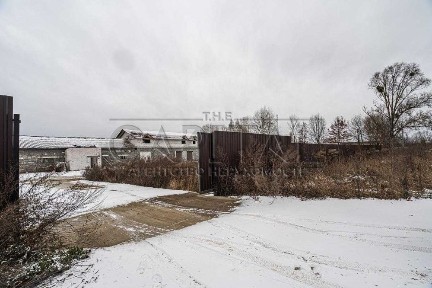 Київська область, Крушинка