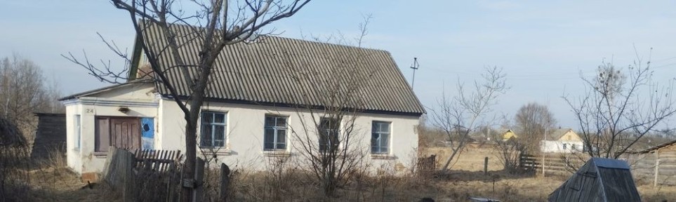 Продам будинок в смт Кам'яний Брід