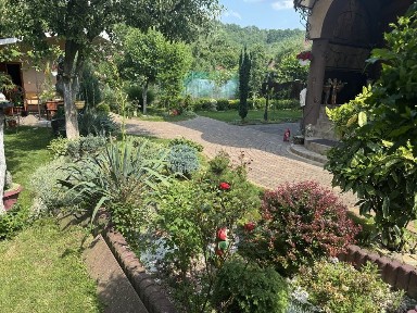 Закарпатська область, Мукачево