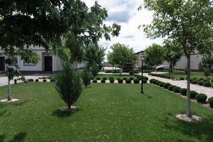 Київська область, Бориспіль