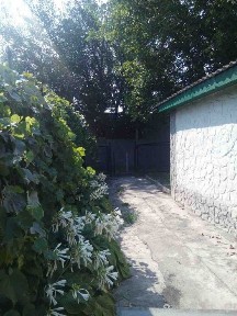 Дніпропетровська область, Кам'янське