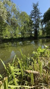 Райське місце 25 соток + берег 11 соток біля каналу, 15 км від Обухова