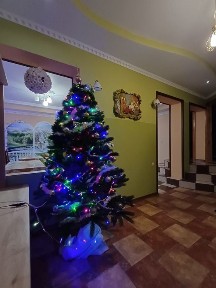 Садиба Ромашка, будинок в Карпатах