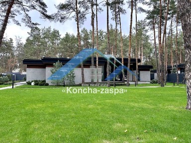 Київська область, Козин