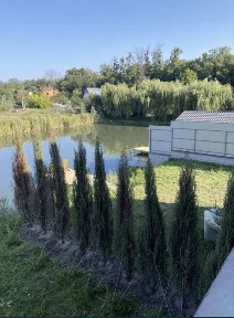 Київська область, Трипілля