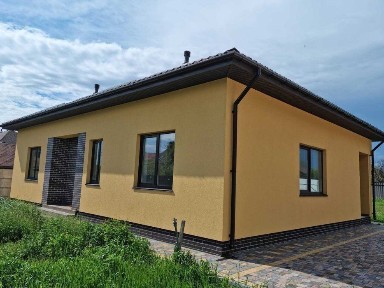 Киевская обл., Вышгородский район, с. Осещина, Космонавтов ул., 5
