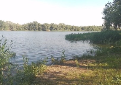 Кіровоградська область, Власівка
