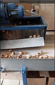 Київська область, Ставище