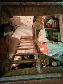 Полтавська область, Кременчук