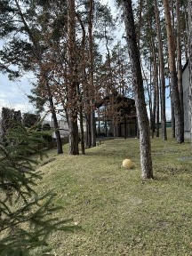 Барнхаус в лісі оренда Бобриця/Бучанський р-н