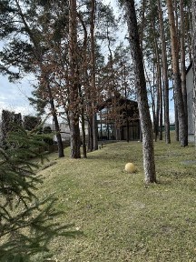 Оренда будинку в лісі, Київська обл., Бобриця/Бучанський р-н