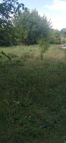 Продам дом в селе Ковяги Валковский район