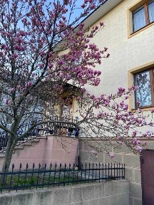 Чернівецька область, Чернівці