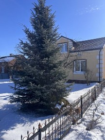Львівська область, Жовтанці