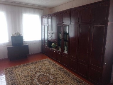 Будинок в с. Товстоліс 10 км від Чернігова + зем. діл. 60 сот