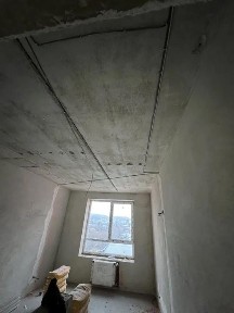 Львівська область, Львів, Шевченківський