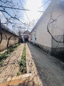 Закарпатська область, Берегове