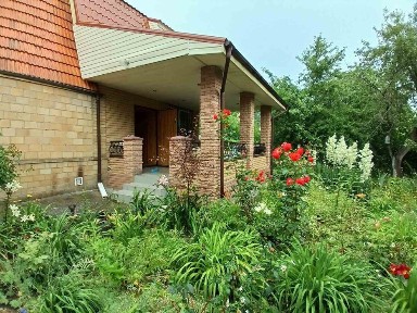 Продам дачу возле соснового леса