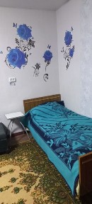 Дніпропетровська область, Новомайське