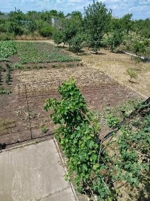 Кіровоградська область, Кропивницький, Подільський