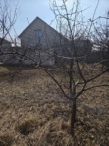 Київська область, Київ, Дарницький