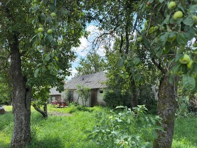 Продаж ділянки 25 соток з будівлями в с. Бадівка