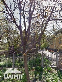 Козятин, вулиця Заозерна • ID 34046565