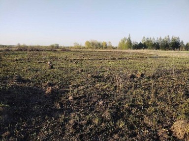 Київська область, Мотижин