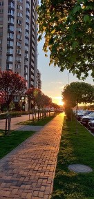 Київська область, Бровари