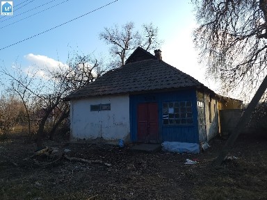 Броварський прн с. Шевченкове продам квартиру в будинку та 6 сот.