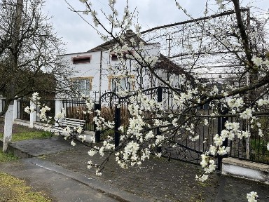 Продам будинок 147 м2 ділянка 7 сот Берегівський район село Гут