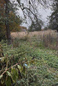 Продаж будинку та земельної ділянки у Львові