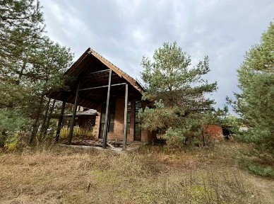 Київська область, Дмитрівка