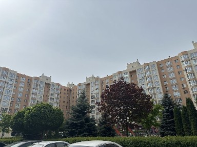 Київська область, Софіївська Борщагівка