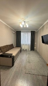 Аренда 1-комнатной квартиры 42 м², Чорновола ул., 6А
